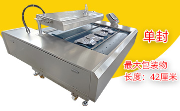 DZ-1100连续滚动式真空包装机(单封)