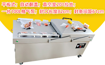 DZ-820/2SA自动翻盖双室平板真空包装机(201拉丝款...